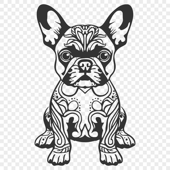 A sitting Boston Terrier dog breed depicted in an ornate vector design.