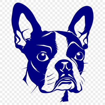 A vector illustration of a Boston Terrier's head, suitable for digital design projects.