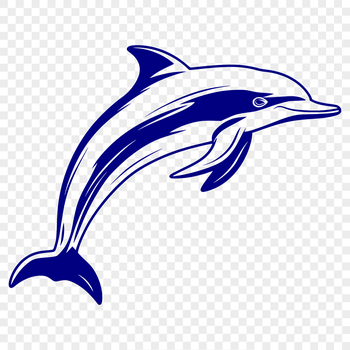 A detailed illustration of a dolphin's full body, suitable for vector art and design projects.