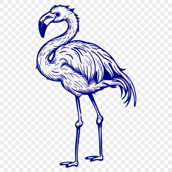 A full-body illustration of a flamingo, suitable for vector design and graphics.