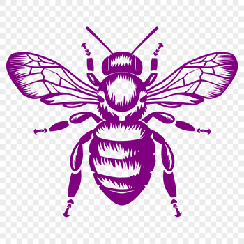 A detailed illustration of a bee from head to foot, suitable for gardening designs or vector graphics projects.