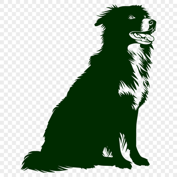 A sitting Australian Shepherd dog with a full body representation in vector format.