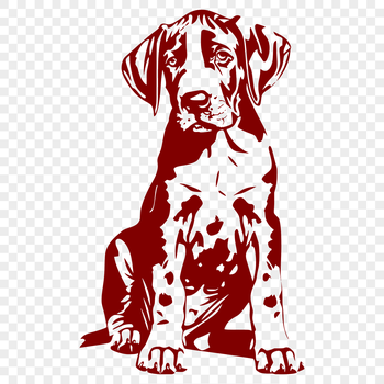Large breed dog in a sitting position, showcasing its size and features.