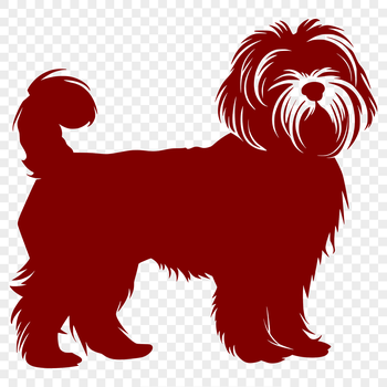 A small white dog with long hair standing on four legs, suitable for use in digital design projects.