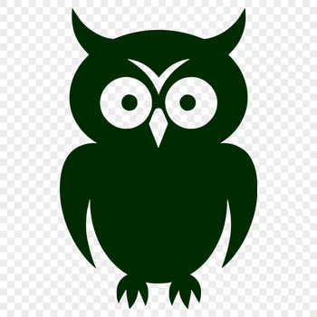 Close-up illustration of a small white owl with big round eyes and soft feathers.