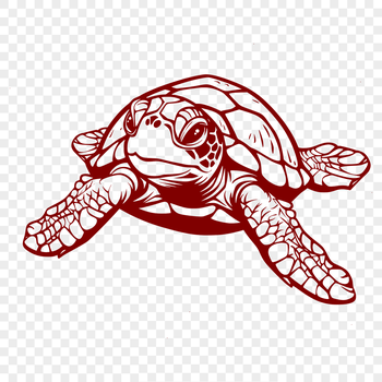 An SVG vector art design of a sea creature commonly found in seaside environments, with clear details of its anatomy.