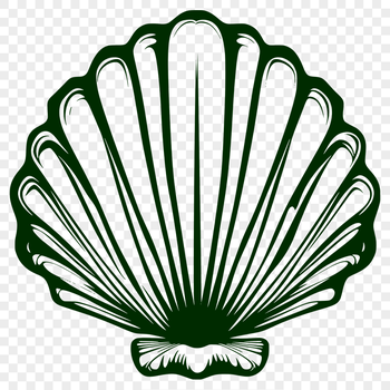 Unique Seashell Decal - Free PDF