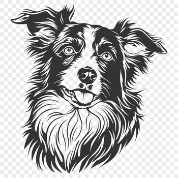 A high-quality digital illustration of a rugged Australian Shepherd dog's head, suitable for various design projects.
