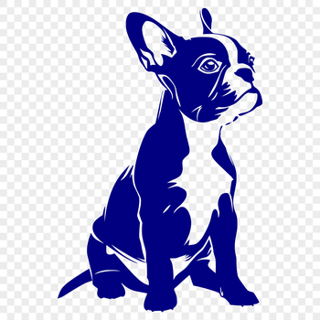 A detailed vector graphic of a Boston Terrier in a seated position, suitable for use as clip art.