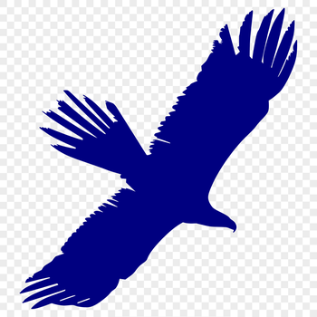 A silhouette of a majestic eagle in mid-flight, depicted as a vector graphic.