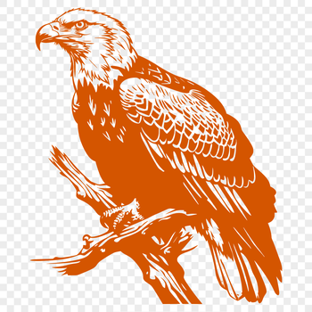 A full-body illustration of a majestic bird perched on a branch.