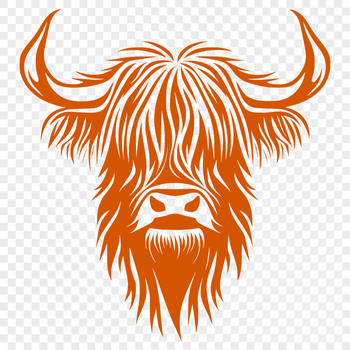 A close-up illustration of a Highland Cow's head with distinctive horns, suitable for use in graphic design projects.