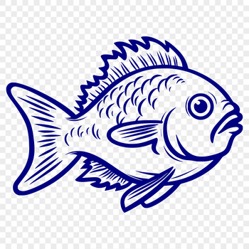 An accurate full-body depiction of a crappie in SVG format.