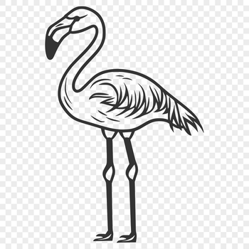 A detailed illustration of a flamingo standing upright on one leg.