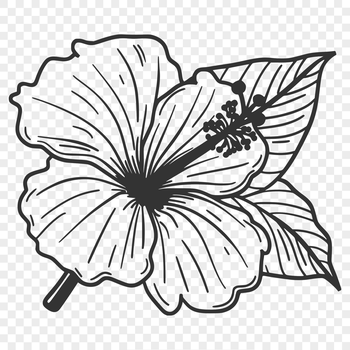 A colorful illustration of a hibiscus flower with large, showy blooms and green foliage.