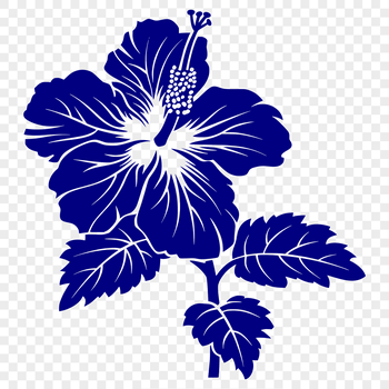 A stylized illustration of a Hibiscus flower with five large, showy petals and a prominent central cluster.