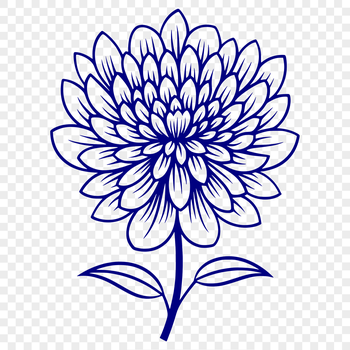 A vector illustration of a blooming chrysanthemum flower with multiple petals.