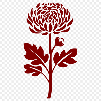 A detailed illustration of a chrysanthemum flower with realistic petals and center.