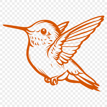 A colorful illustration of a hummingbird in mid-flight, showcasing its vibrant plumage and distinctive shape.