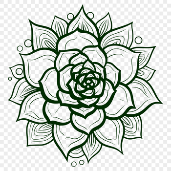 A stylized illustration of a succulent plant with thick fleshy stems and leaves.