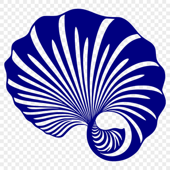 A stylized illustration of a seashell with intricate details, suitable for vector design.