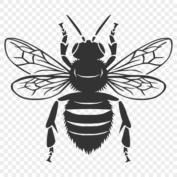 An illustration of a bee's full body with detailed features, suitable for vector design.