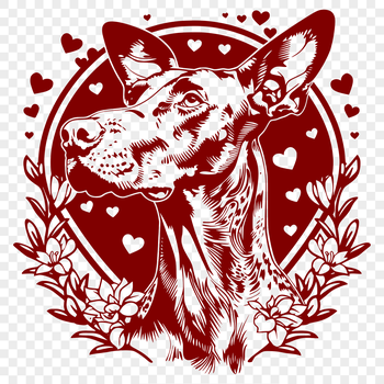 A large breed dog with a distinctive head shape and ornate collar.