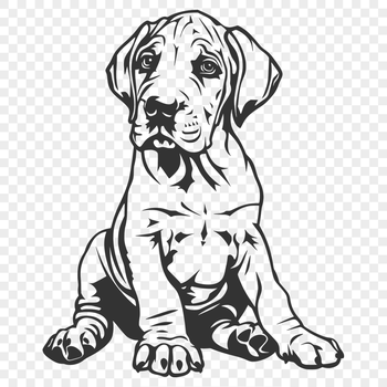 Sitting Puppy Vector Drawing