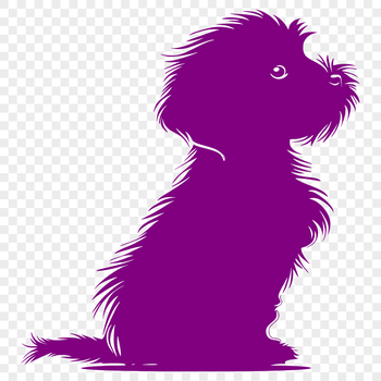A high-quality, full-body illustration of a Havanese dog in a sitting position.