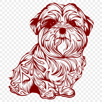 A full-body illustration of a Havanese dog sitting, depicted in ornate details suitable for vector art.