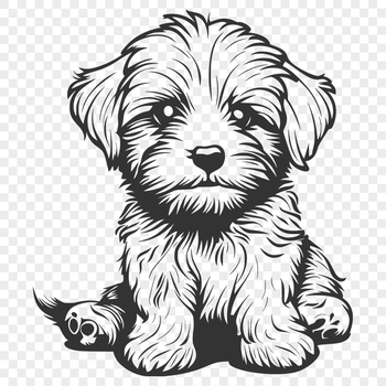 Free Free Havanese Illustration