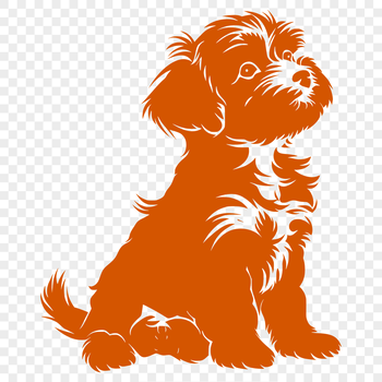 An isolated design of a Havanese dog in a seated position, suitable for use as vector art or clipart.