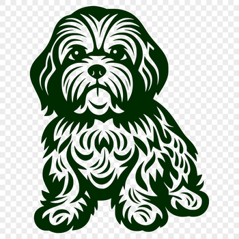 A full-body illustration of a Havanese dog in a sitting position.