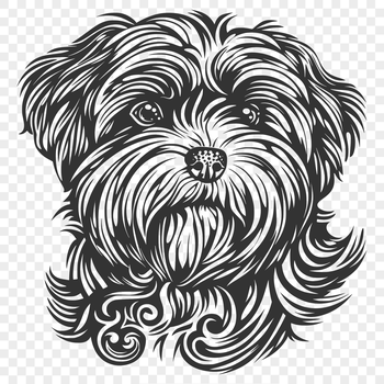 A detailed illustration of a Havanese dog's head featuring ornate details.