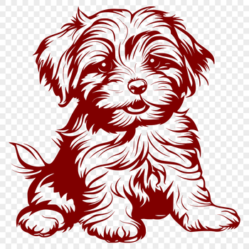 A detailed vector drawing of a Havanese breed dog in a sitting position.