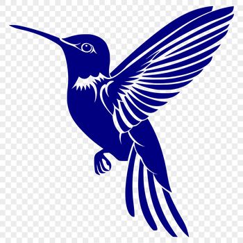 A detailed illustration of a hummingbird in mid-flight, depicted from head to tail.