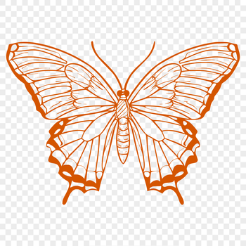 A colorful butterfly in flight, its wings fully extended.