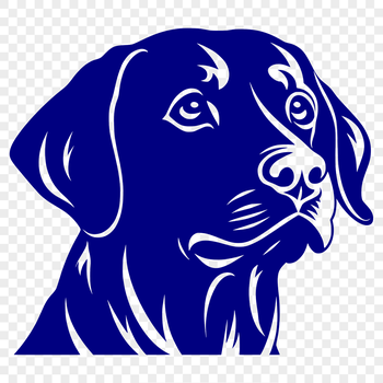 Vector illustration of a Labrador Retriever's head in detail, suitable for digital crafting and design.