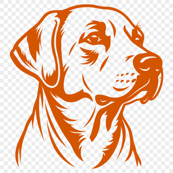 A high-quality digital illustration of a friendly Labrador Retriever's head, suitable for various design applications.