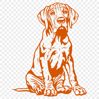 A full-body illustration of a Great Dane in a sitting position.