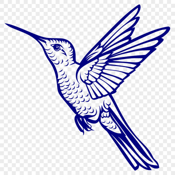 A colorful illustration of a hummingbird in mid-flight, showcasing its full body and agility.