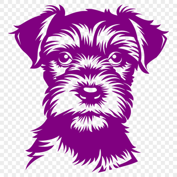 A close-up illustration of a Miniature Schnauzer's head, featuring the breed's distinctive facial features.