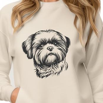 A small breed dog with a long coat and rounded head.