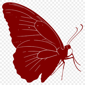 A colorful illustration of a butterfly in full body view, suitable for vector graphics and digital art.
