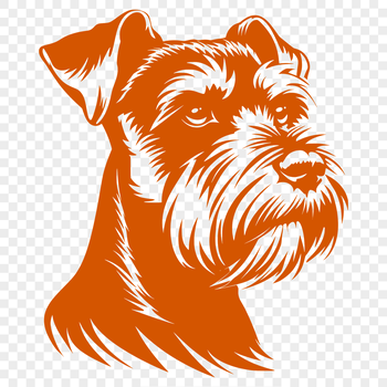 A detailed illustration of a Miniature Schnauzer's head, suitable for vector design.