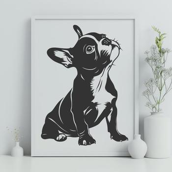 A sitting Boston Terrier dog with full body view.