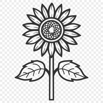 An illustration of a single sunflower flower in a minimalist floral design style.