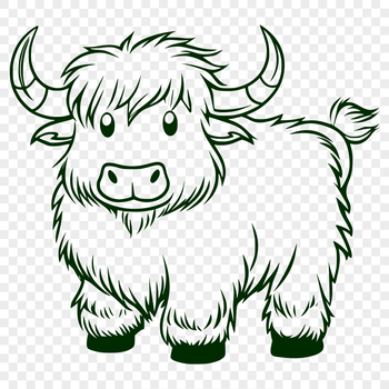 A standing Highland Cow standing in a green pasture.