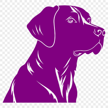 An illustration of a friendly Labrador Retriever breed dog.