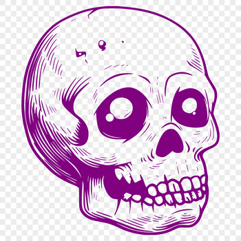 A detailed illustration of a skull in vector format.
